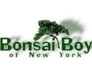 Bonsai Boy of New York